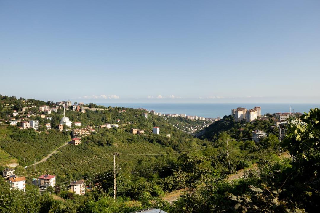Photo of Others in Trabzon