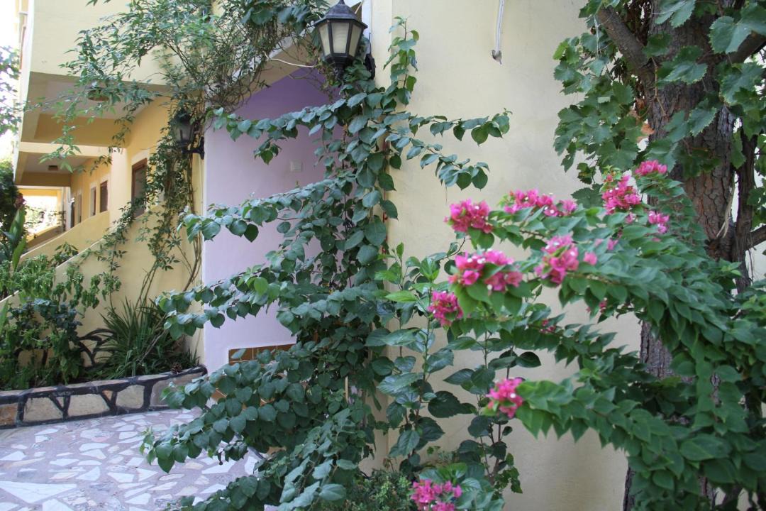 Photo of Others in Patara
