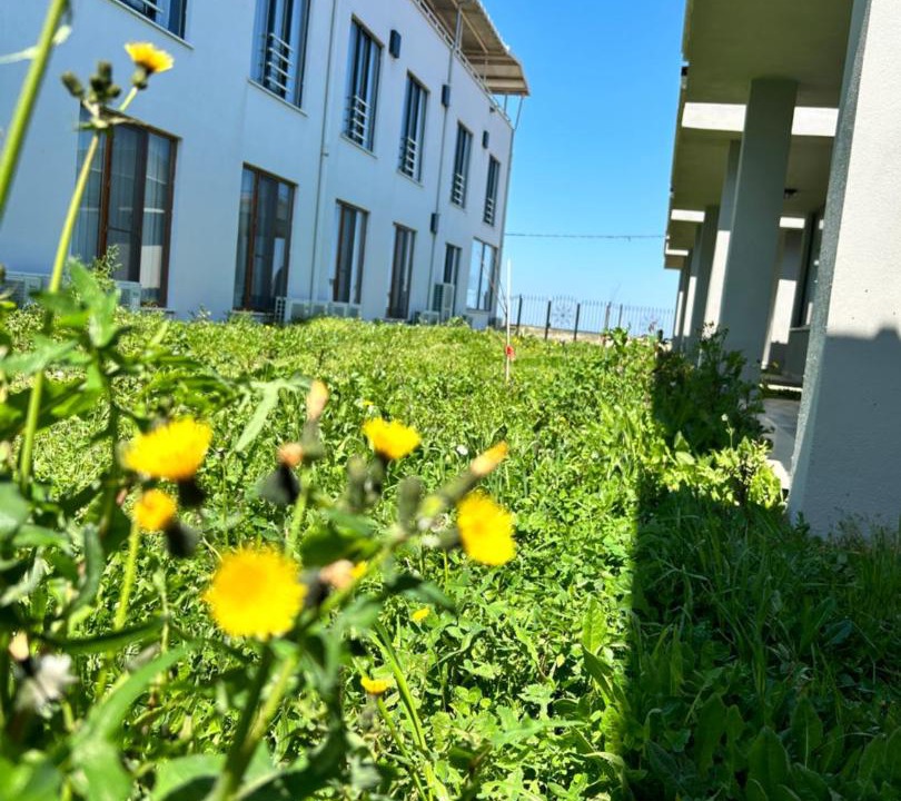 Photo of Others in Yalıkoy Koyu