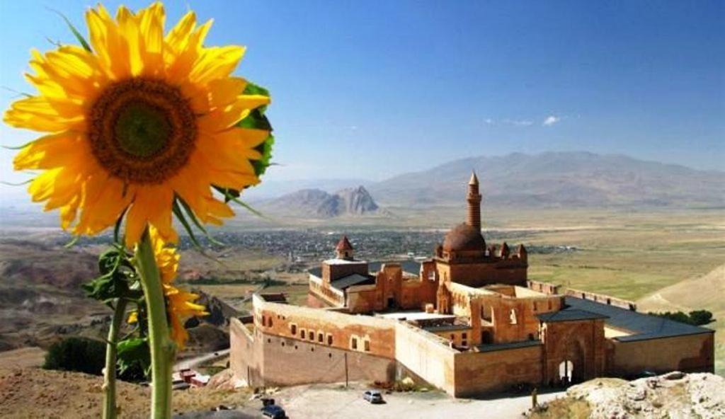 Photo of Others in DogubeyazIt