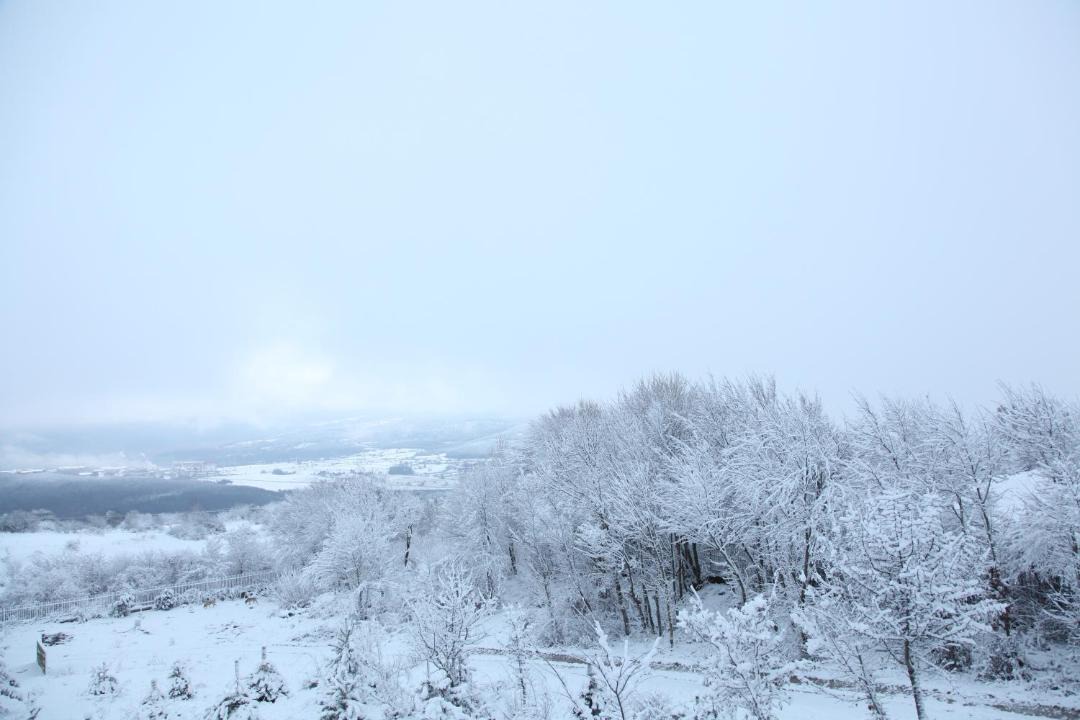 Photo of Others in Bolu