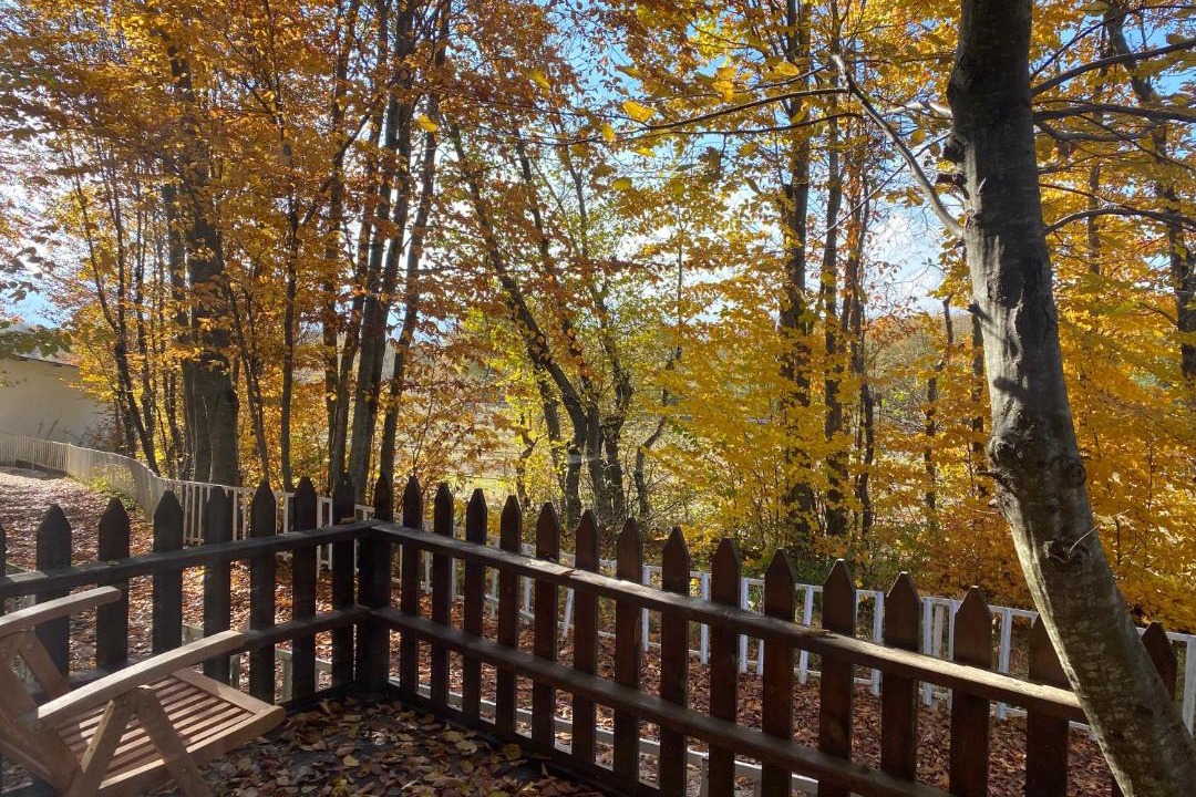 Photo of Others in Bolu