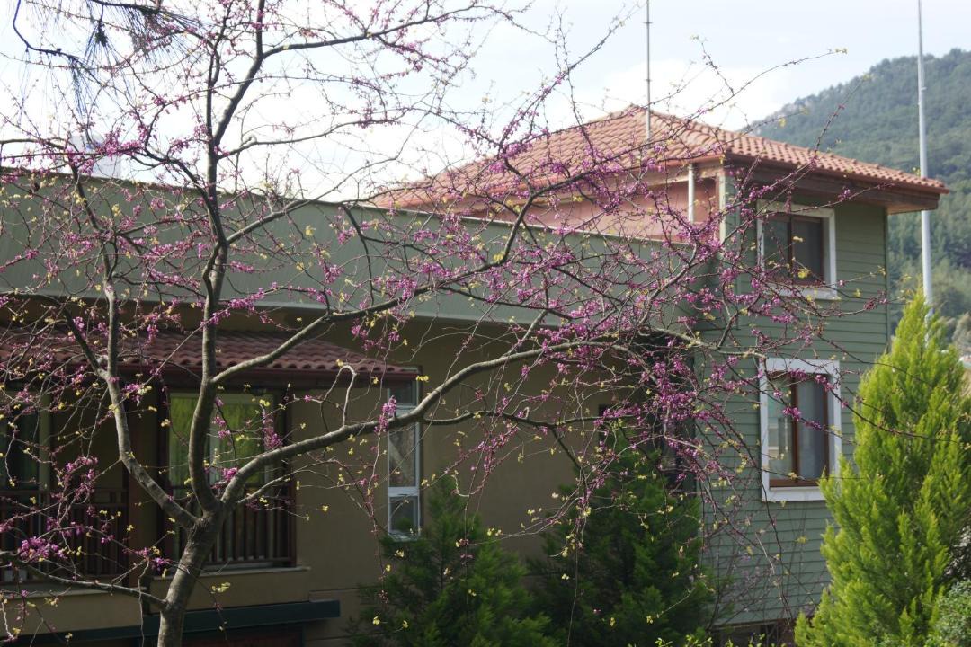 Photo of Others in Atakoy