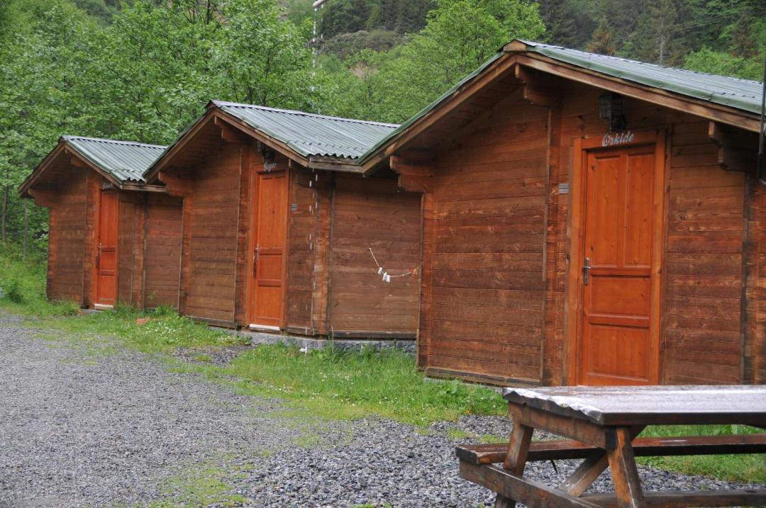 Photo of Others in Ayder Yaylasi