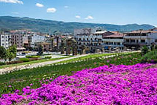 Photo of Others in Selcuk
