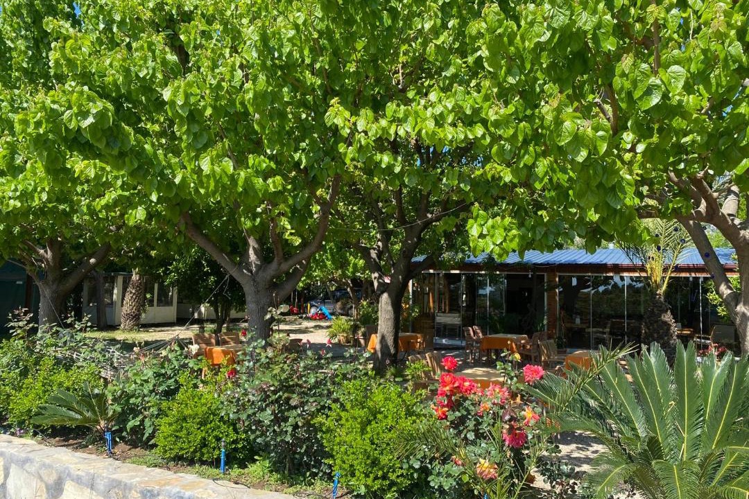 Photo of Outdoor in Cirali