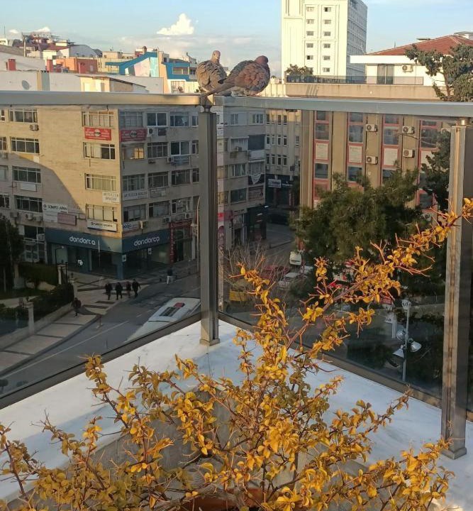 Photo of Others in Antalya City Centre
