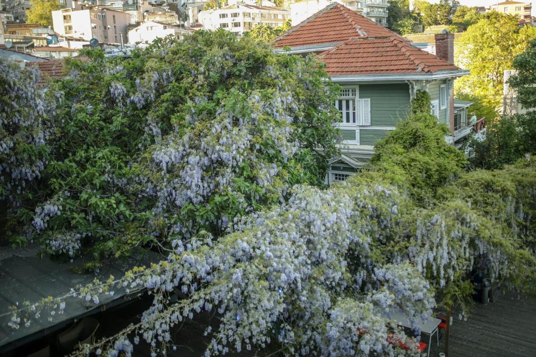 Photo of Others in Kabatas