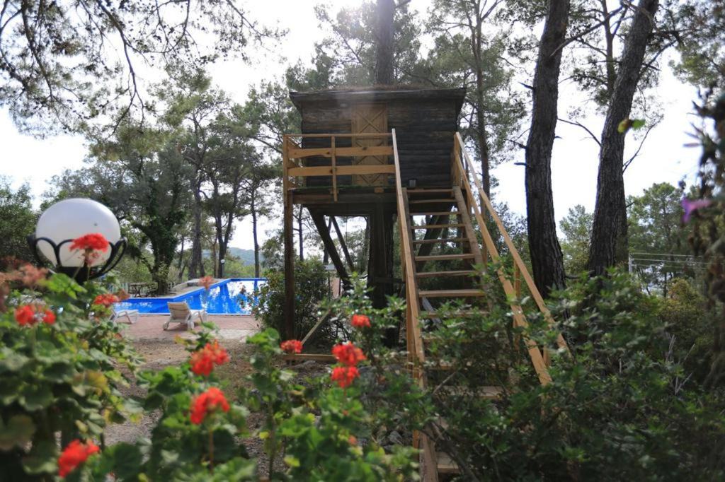 Photo of Others in Kumluca