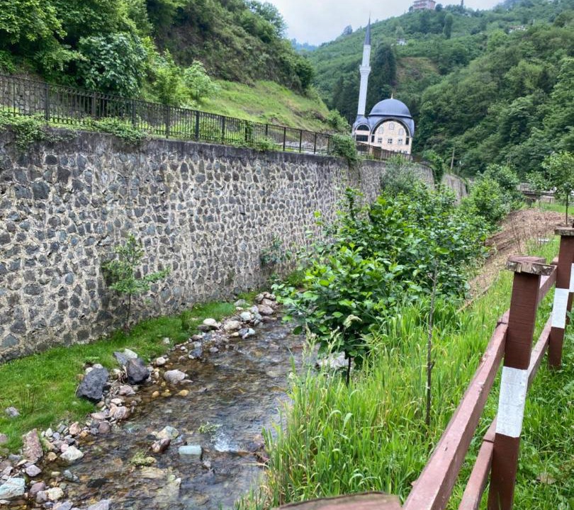 Photo of Others in Trabzon
