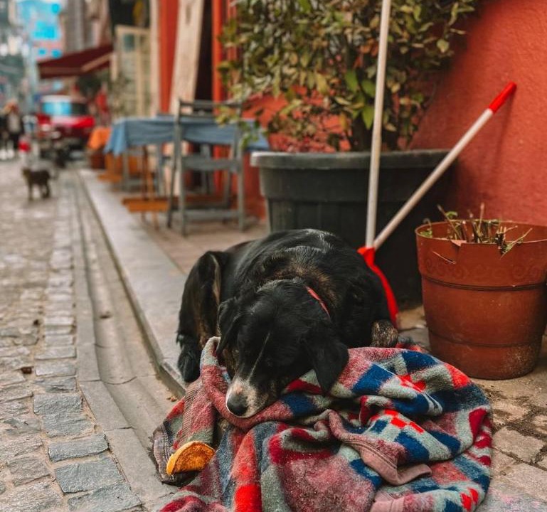 Photo of Others in Balat