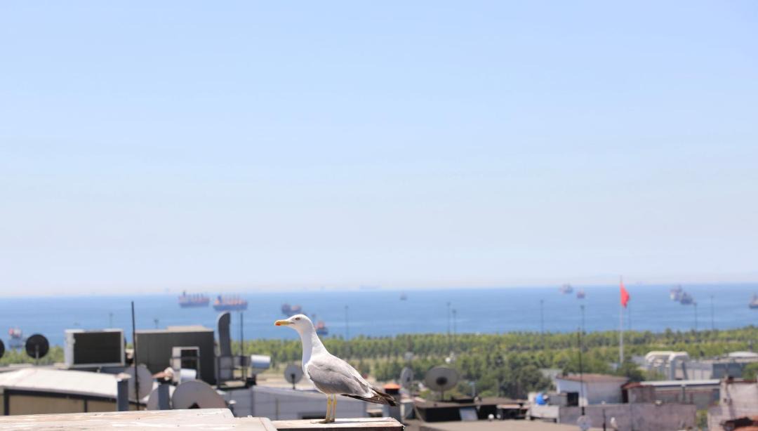 Photo of Others in Beyazit