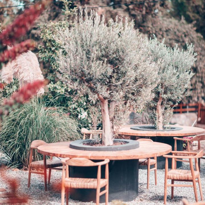 Photo of Others in Old Datca