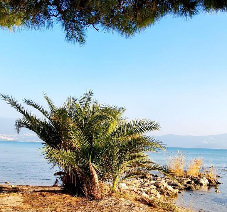 Photo of Others in Didim