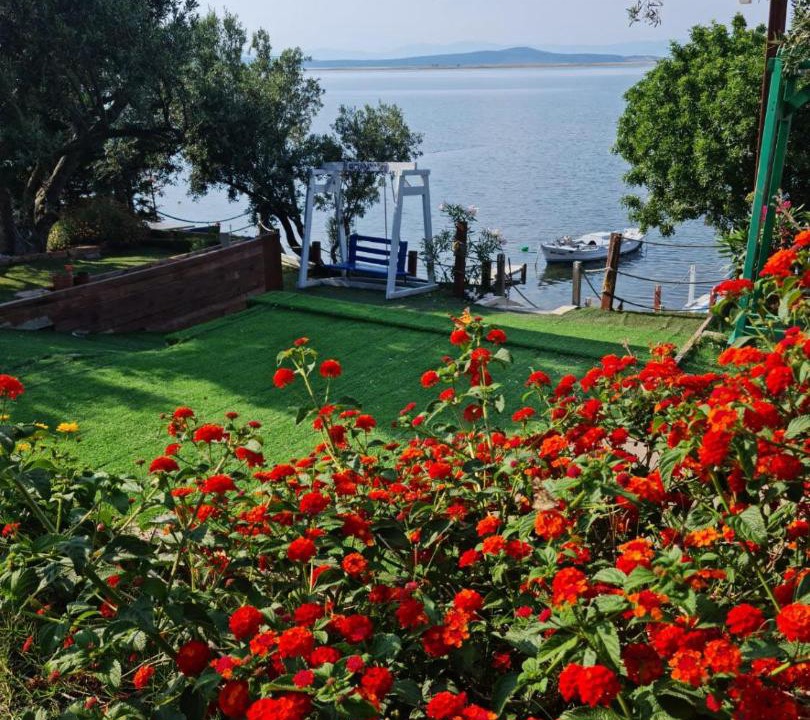 Photo of Others in Ayvalik