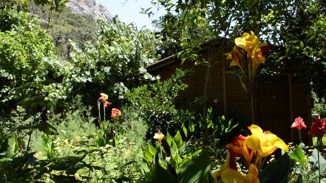 Photo of Others in Olympos