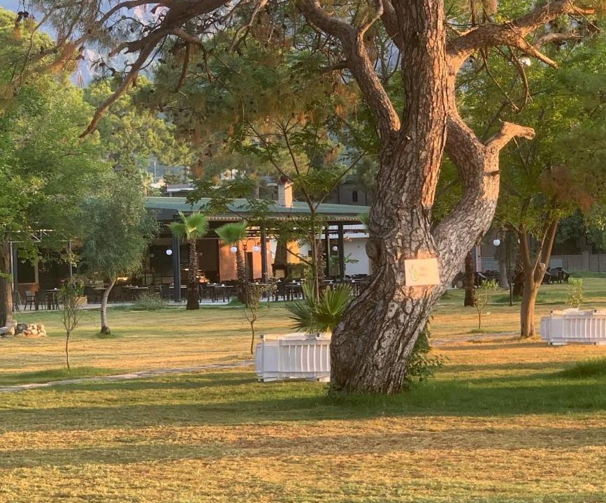 Photo of Others in Beldibi