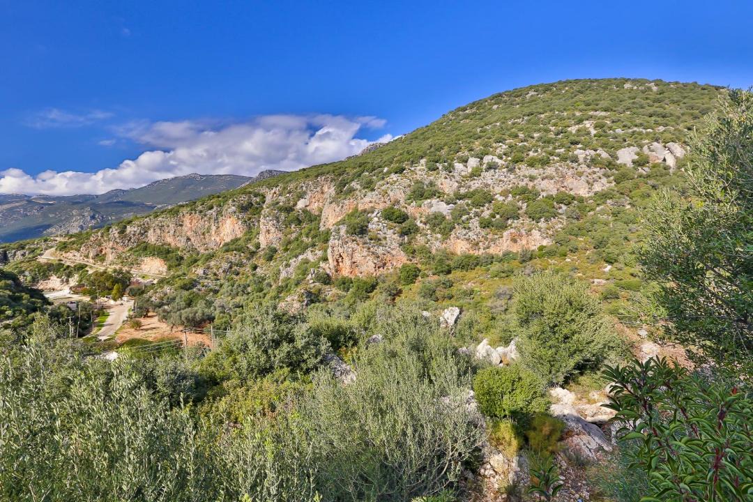 Photo of Others in Kas