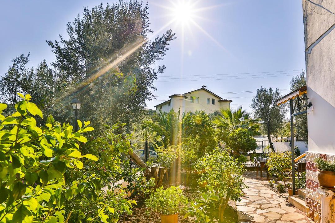 Photo of Others in Kas