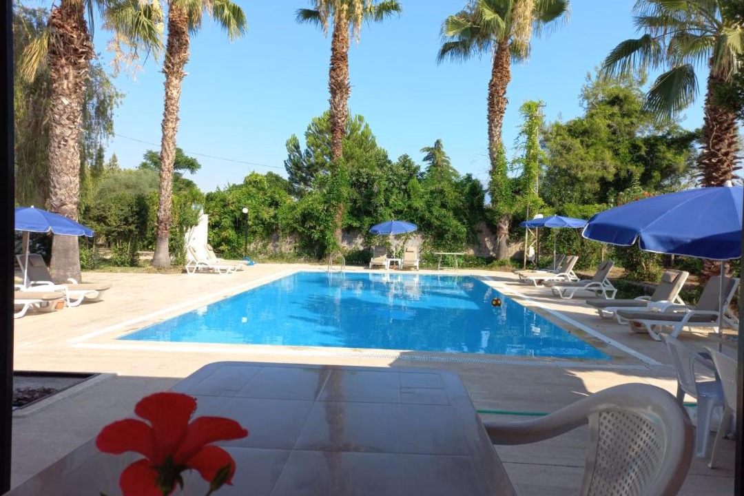 Photo of Others in Fethiye