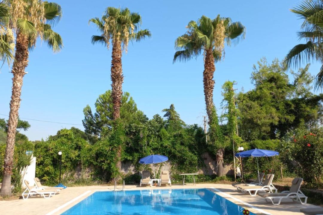 Photo of Others in Fethiye