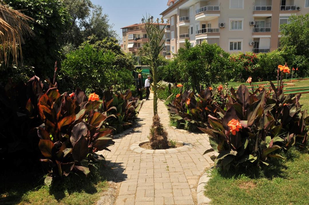 Photo of Others in Alanya