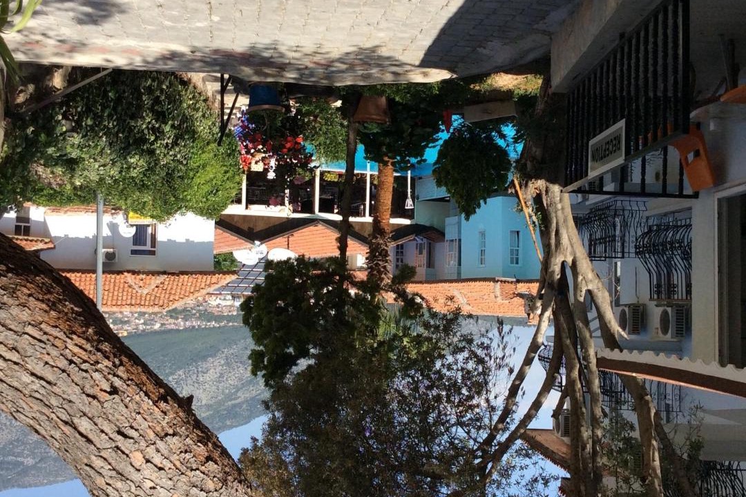 Photo of Others in Hisaronu