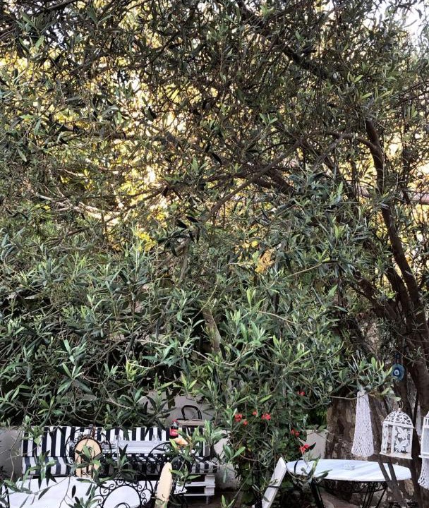 Photo of Others in Alacati