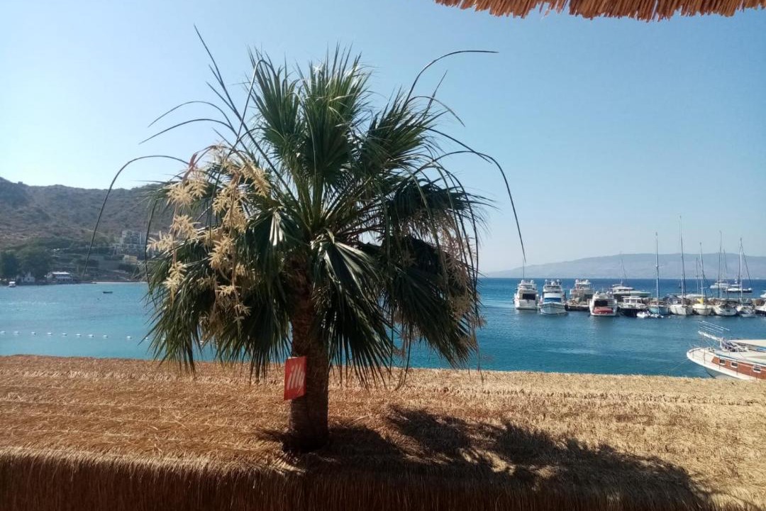 Photo of Others in Akyarlar