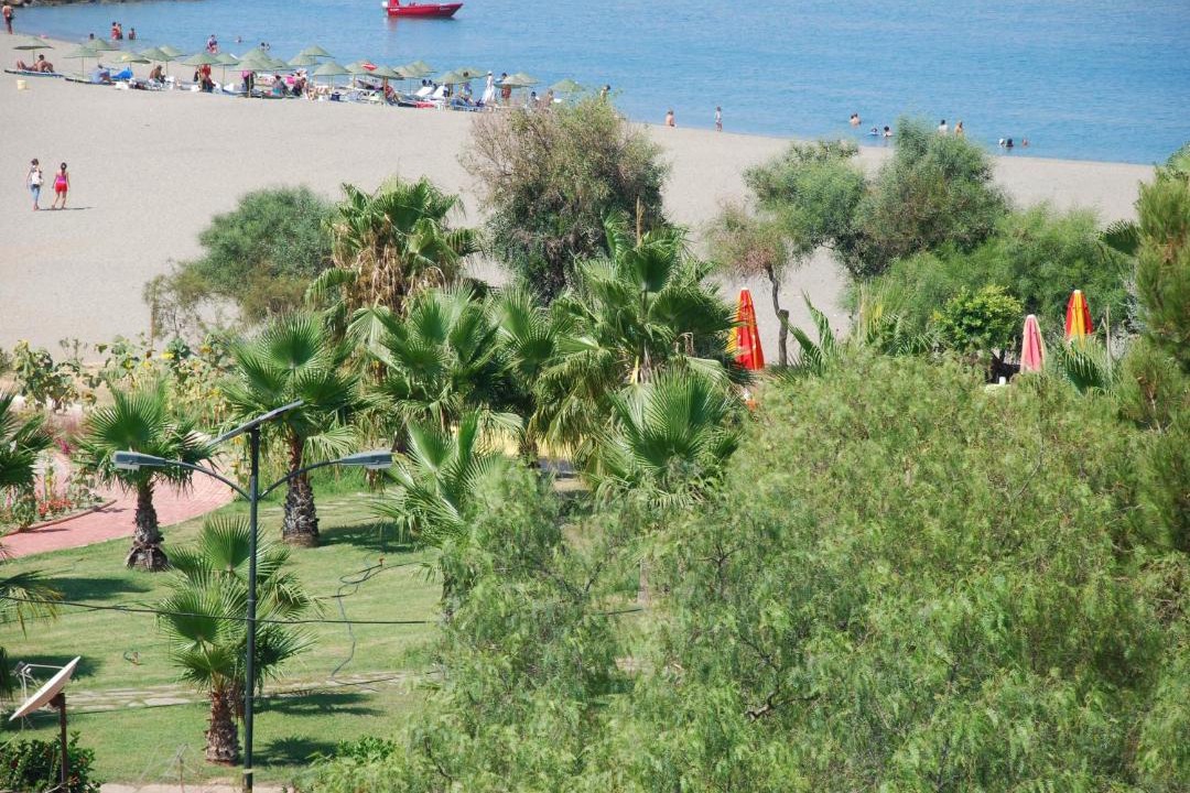 Photo of Others in Gazipasa