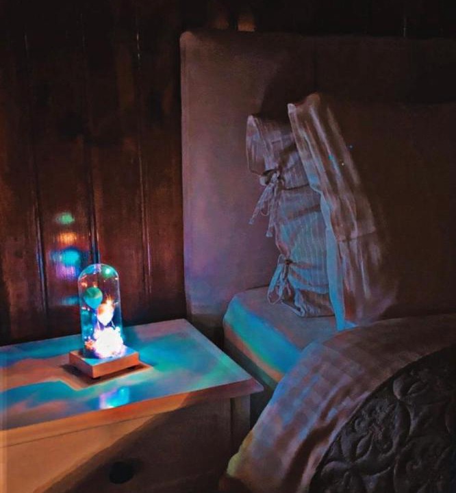 Photo of Livingroom in Serdivan