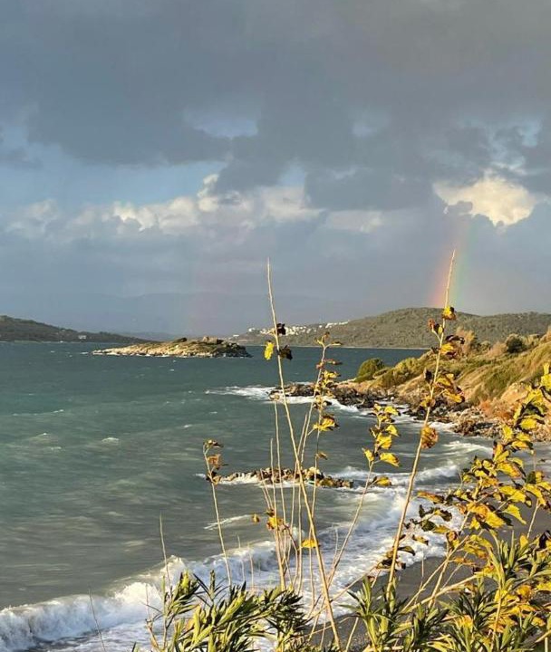 Photo of Others in Bodrum