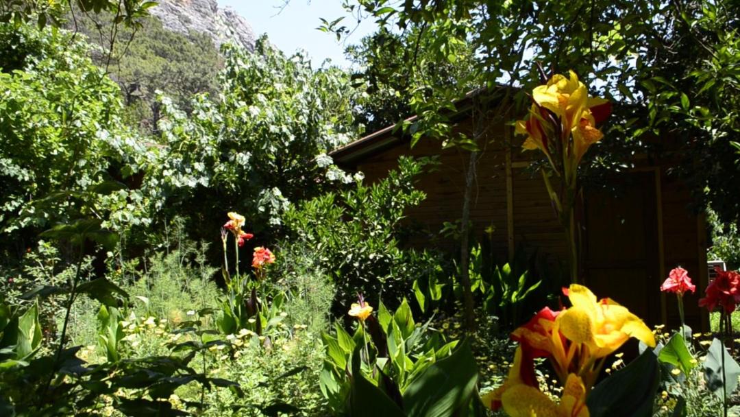 Photo of Others in Olympos