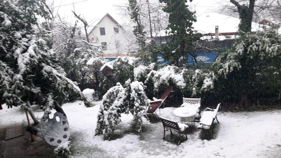 Photo of Others in Masukiye