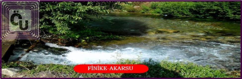 Photo of Others in Finike