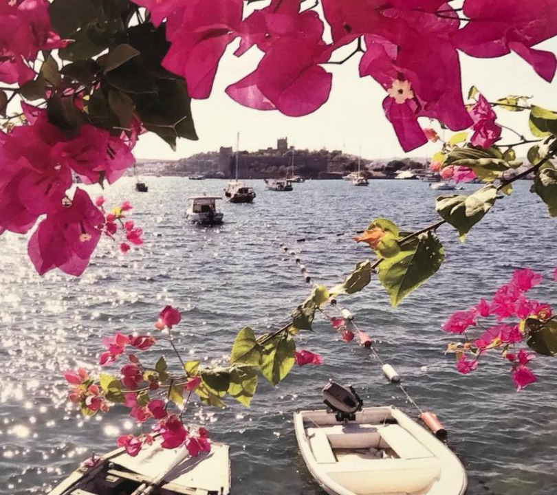 Photo of Others in Bodrum City Center