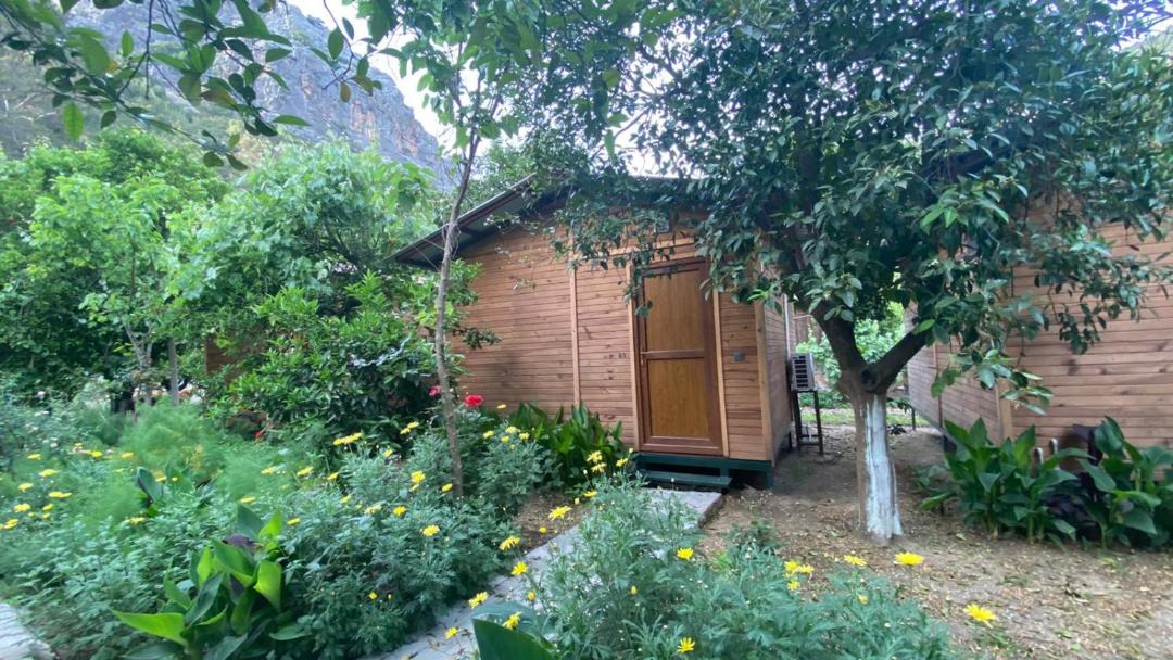 Photo of Others in Olympos