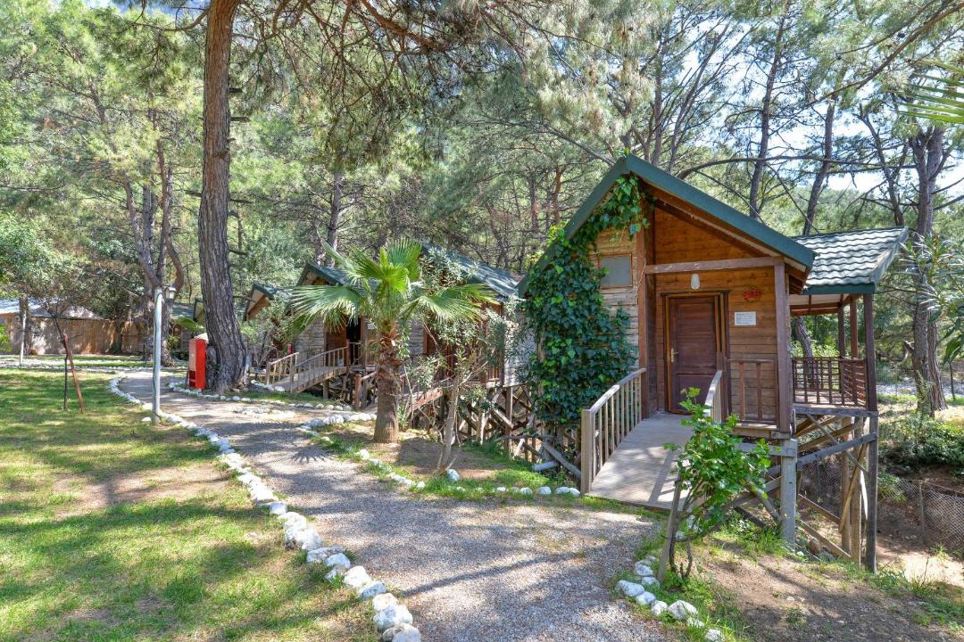 Photo of Others in Kabak Valley