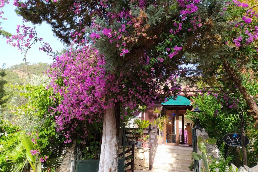 Photo of Others in Gocek