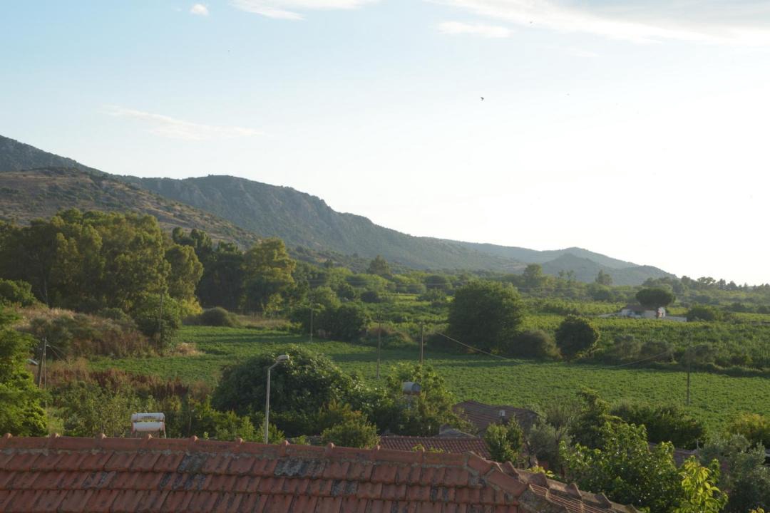 Photo of Others in Selcuk