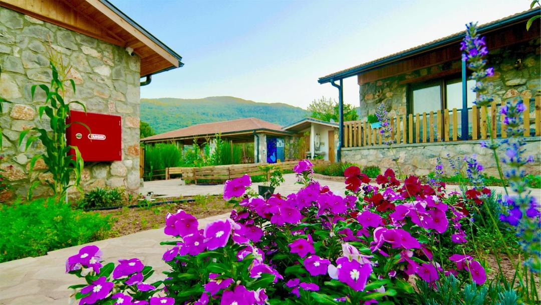 Photo of Others in Fethiye