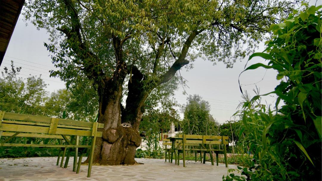 Photo of Others in Fethiye