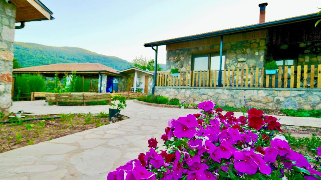 Photo of Others in Fethiye