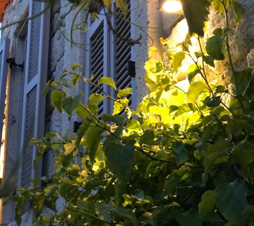Photo of Others in Alacati