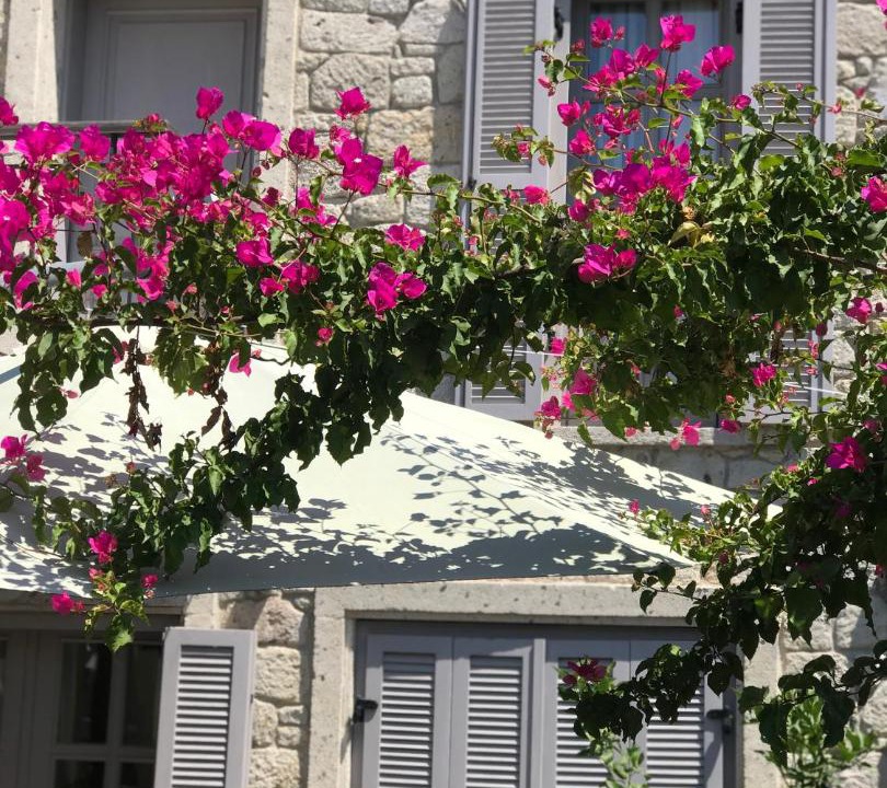 Photo of Others in Alacati