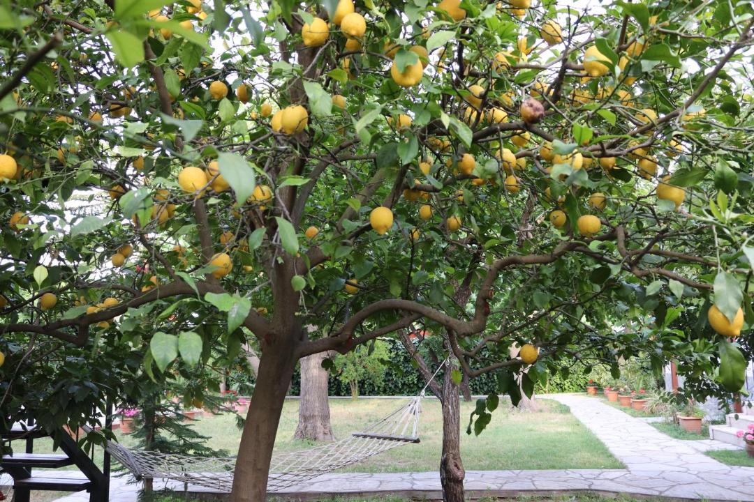Photo of Outdoor in Cirali