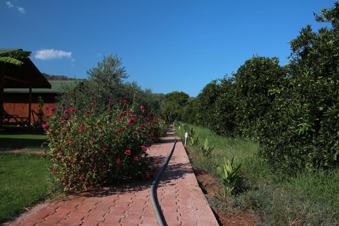 Photo of Others in Cirali