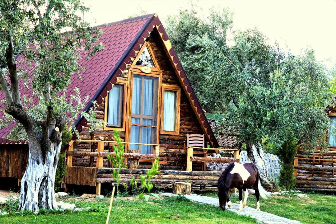 Photo of Others in Zeytinli