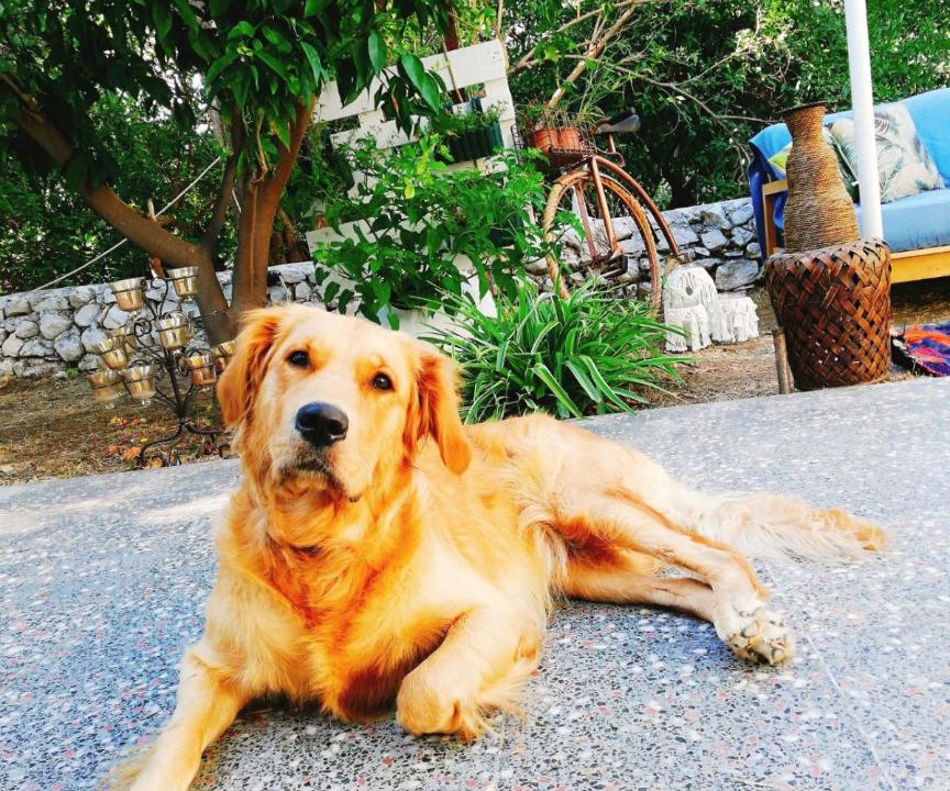 Photo of Others in Bodrum City Center