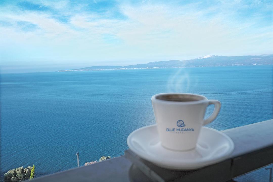 Photo of Others in Mudanya